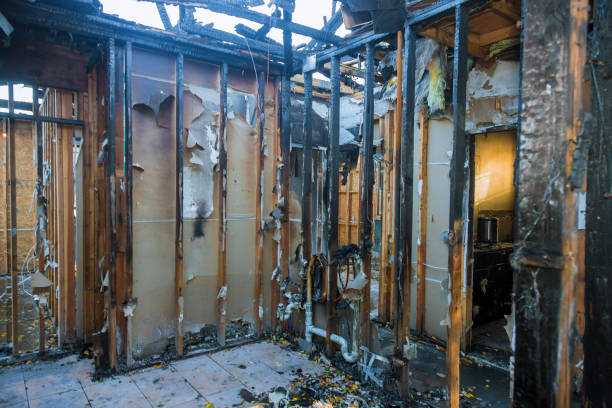 Professional Fire Damage Assessment technician working in Roxborough Park, CO